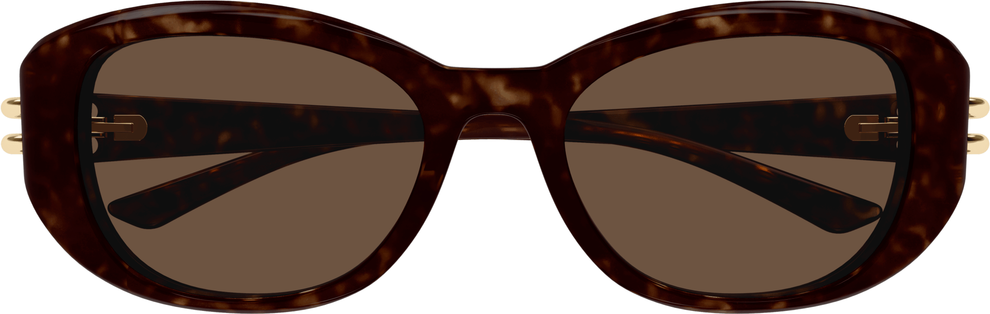 Color_AM0470SA-002 - HAVANA - BROWN