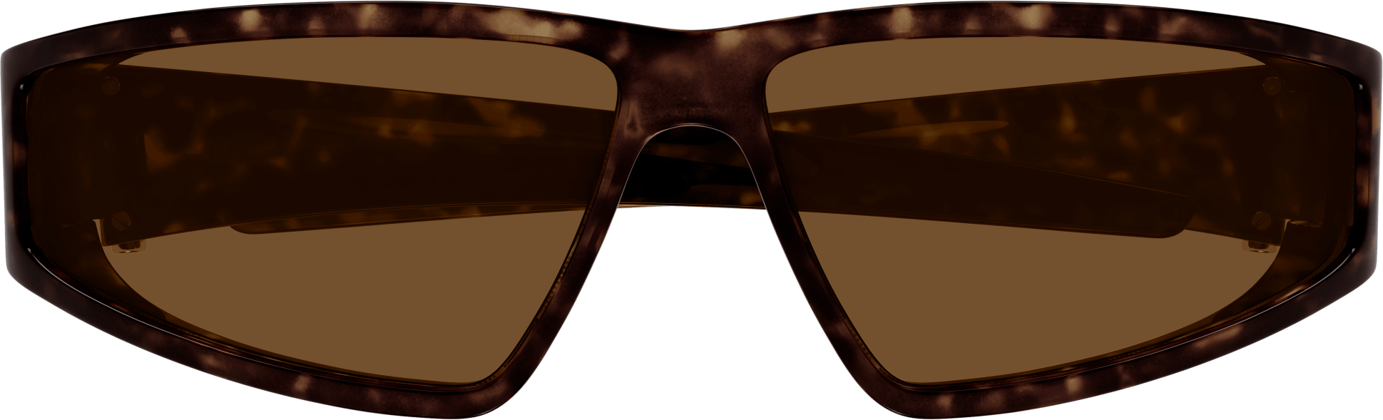 Color_AM0490S-002 - HAVANA - BROWN