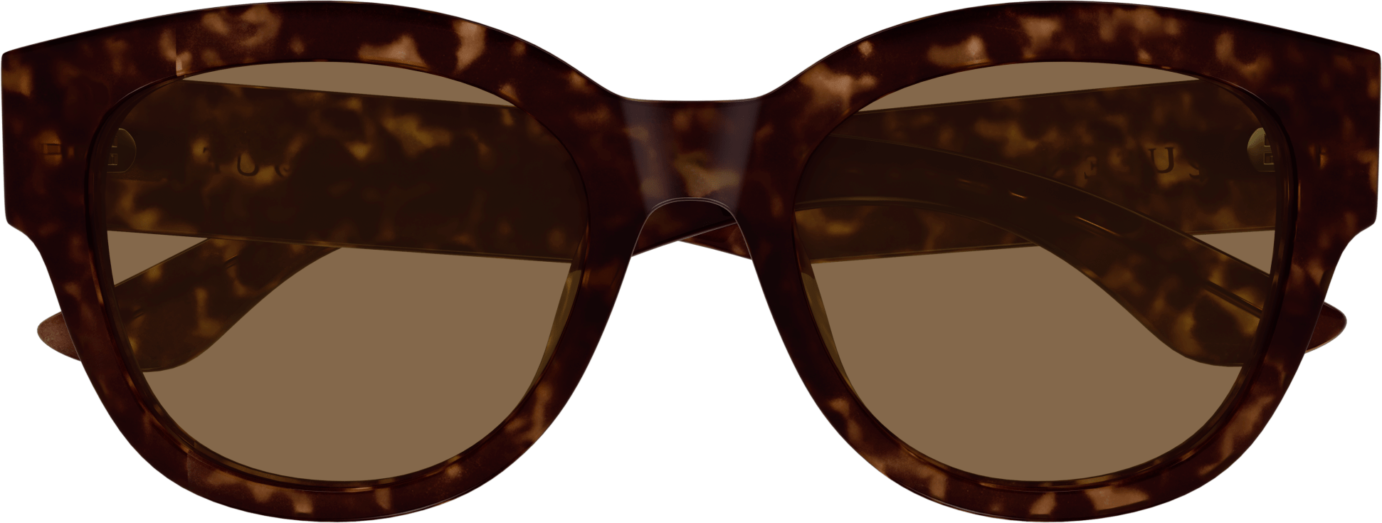 Color_AM0509SA-002 - HAVANA - BROWN