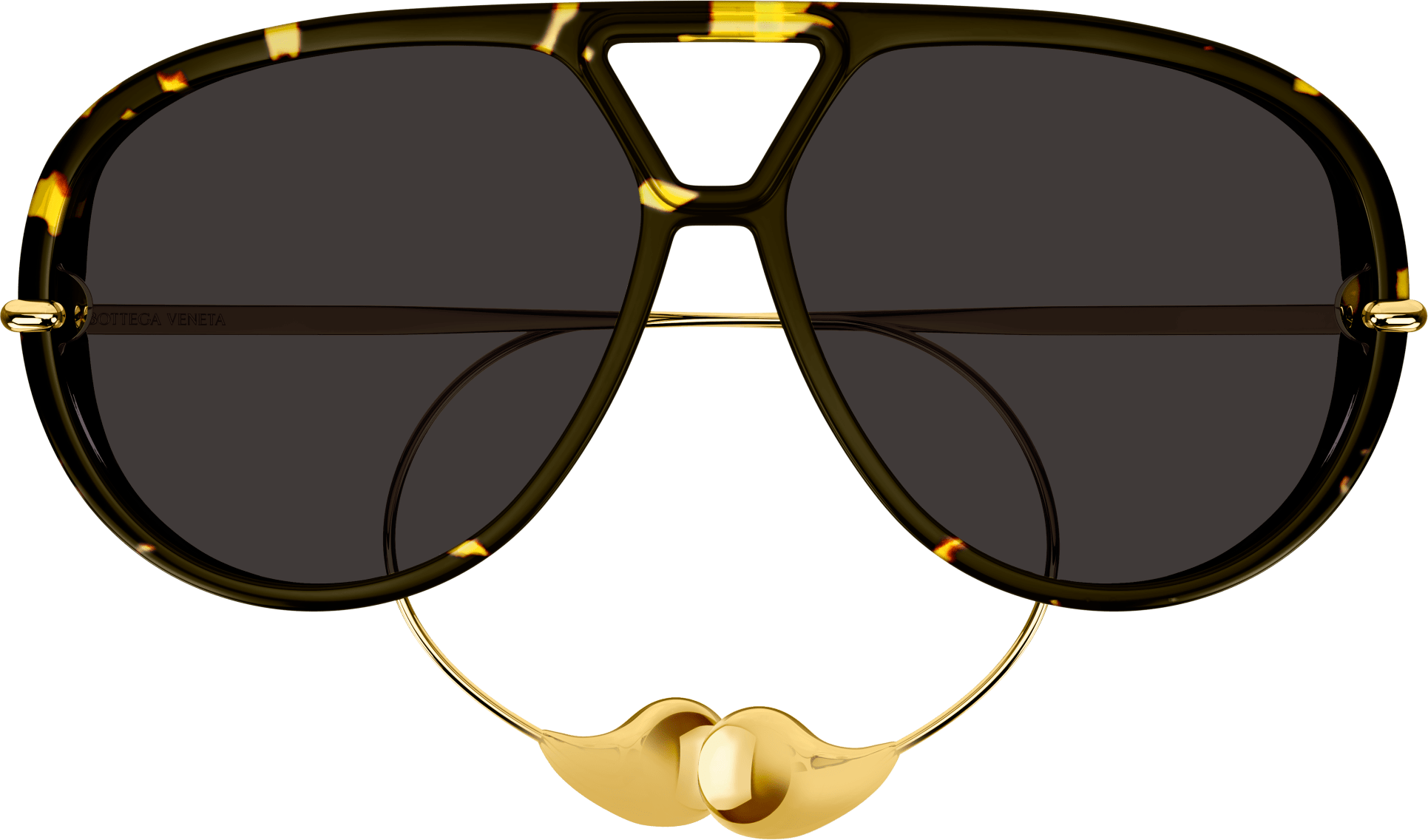 Color_Bottega Veneta BV1273S