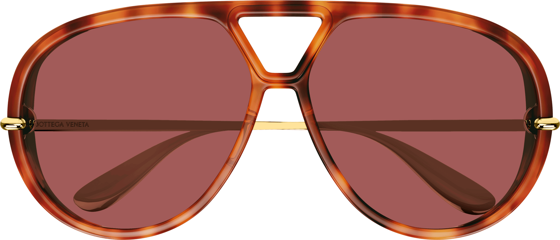 Color_BV1274S-003 - HAVANA - GOLD - BROWN