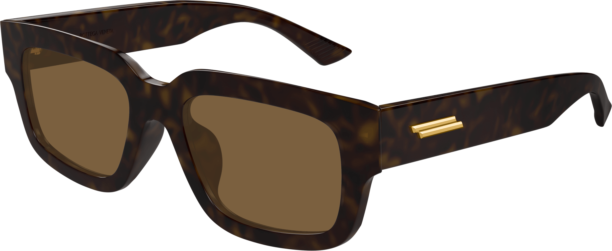 Color_BV1359SA-002 - HAVANA - BROWN