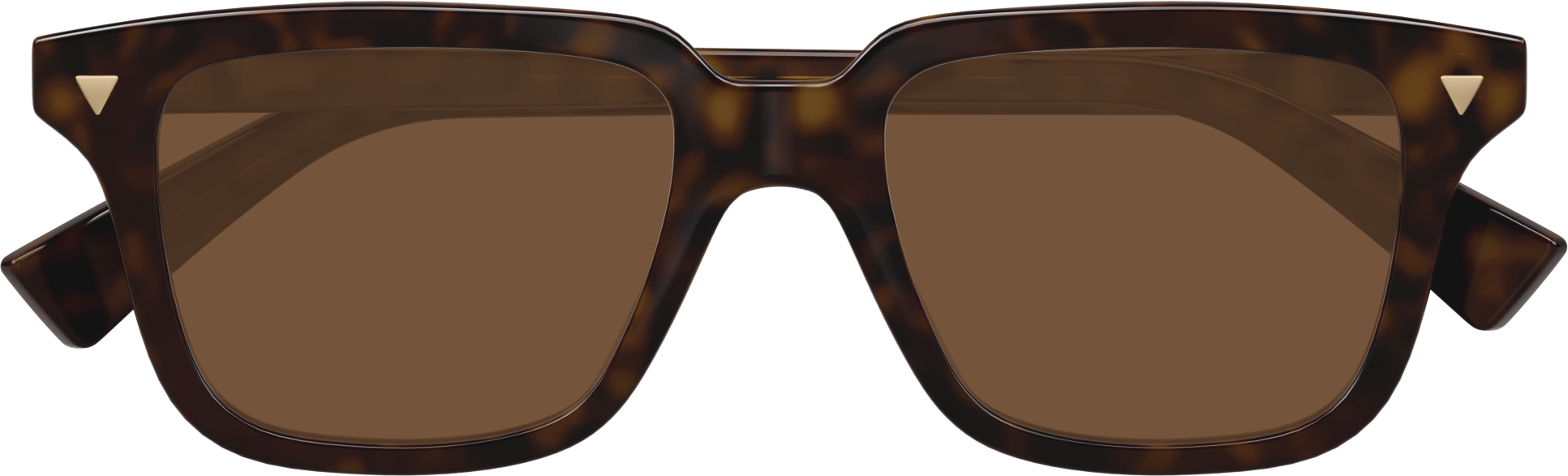Color_BV1363S-002 - HAVANA - HAVANA - BROWN