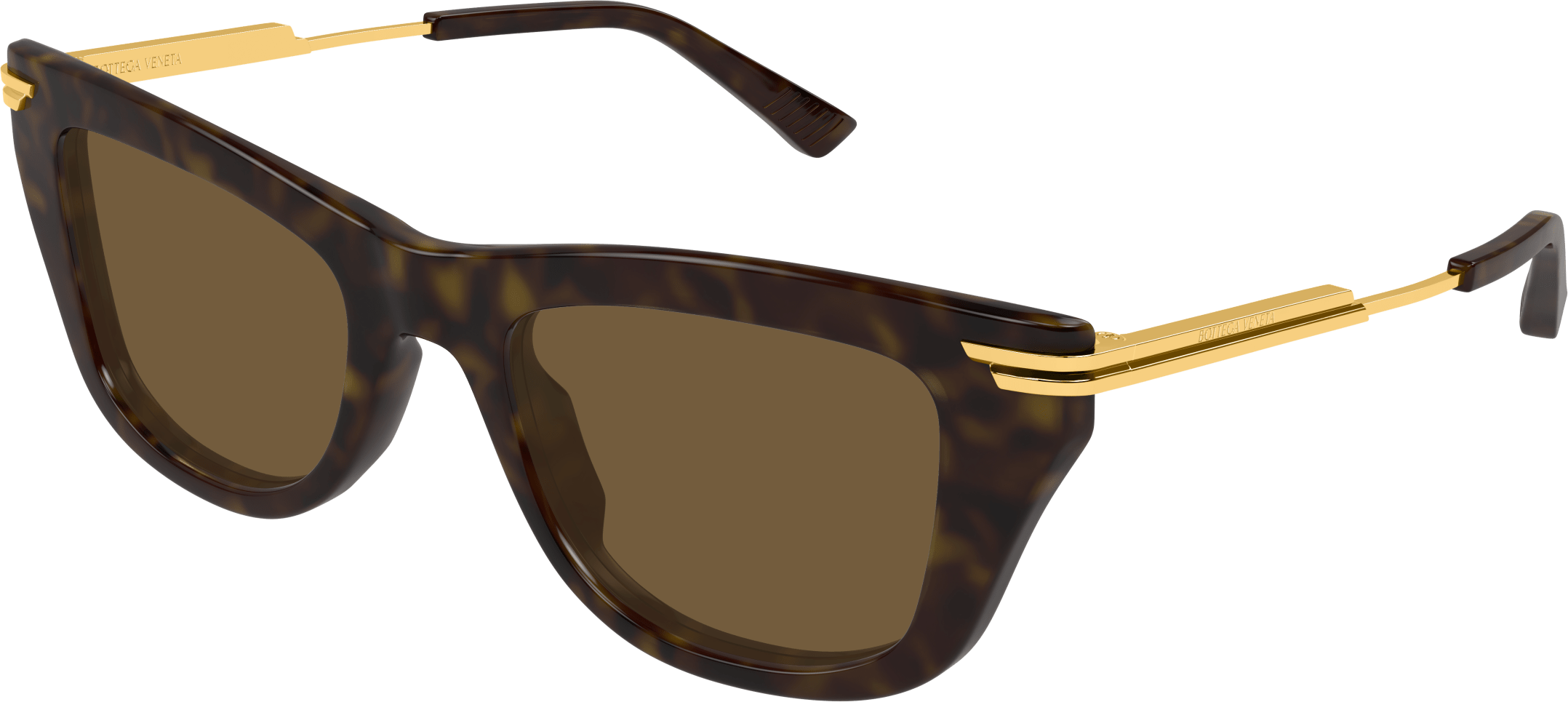 Color_BV1369S-002 - HAVANA - BROWN