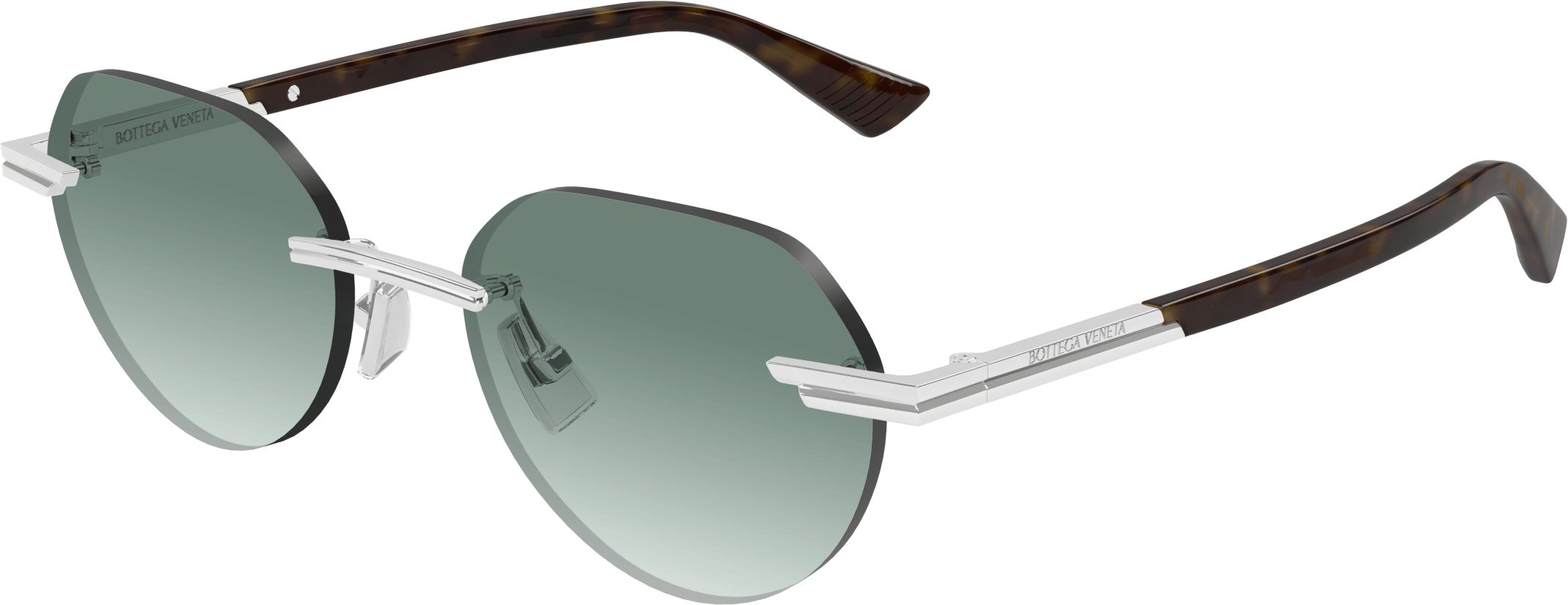 Color_BV1379S-002 - SILVER - GREEN