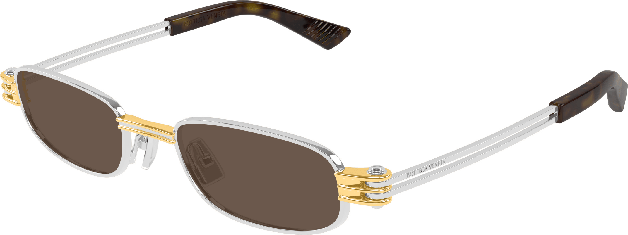 Color_BV1381S-001 - SILVER - BROWN