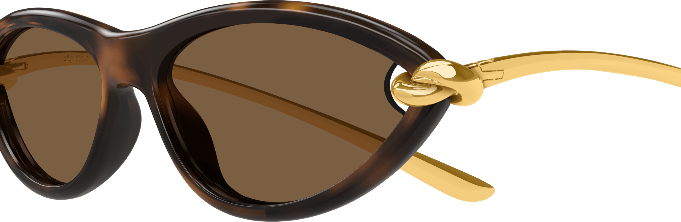 Color_BV1390S-002 - HAVANA - GOLD - BROWN