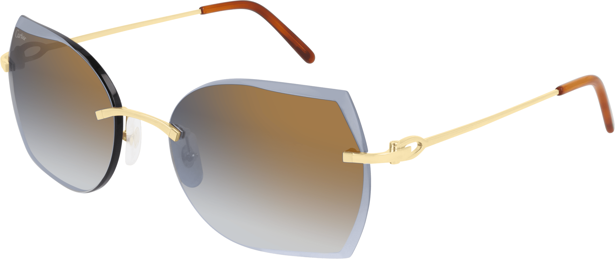 Color_CT0004RS-001 - GOLD - BRONZE