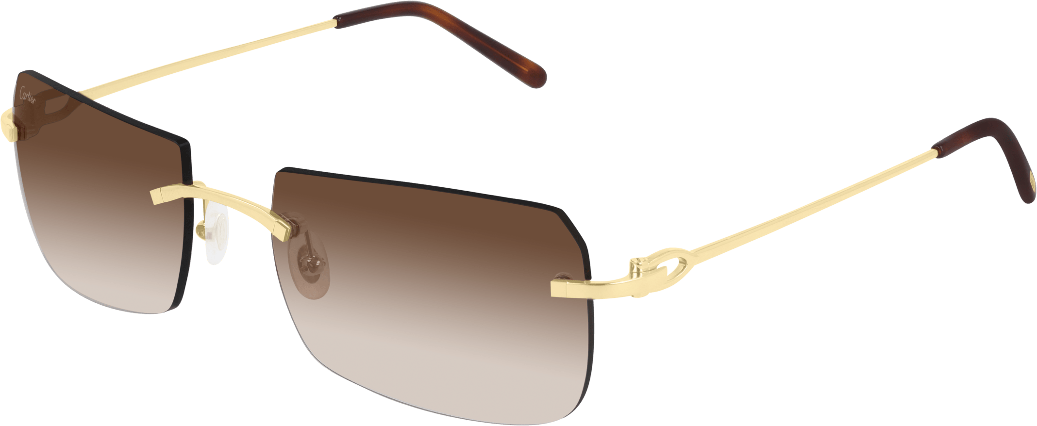 Color_CT0006RS-001 - GOLD - BROWN