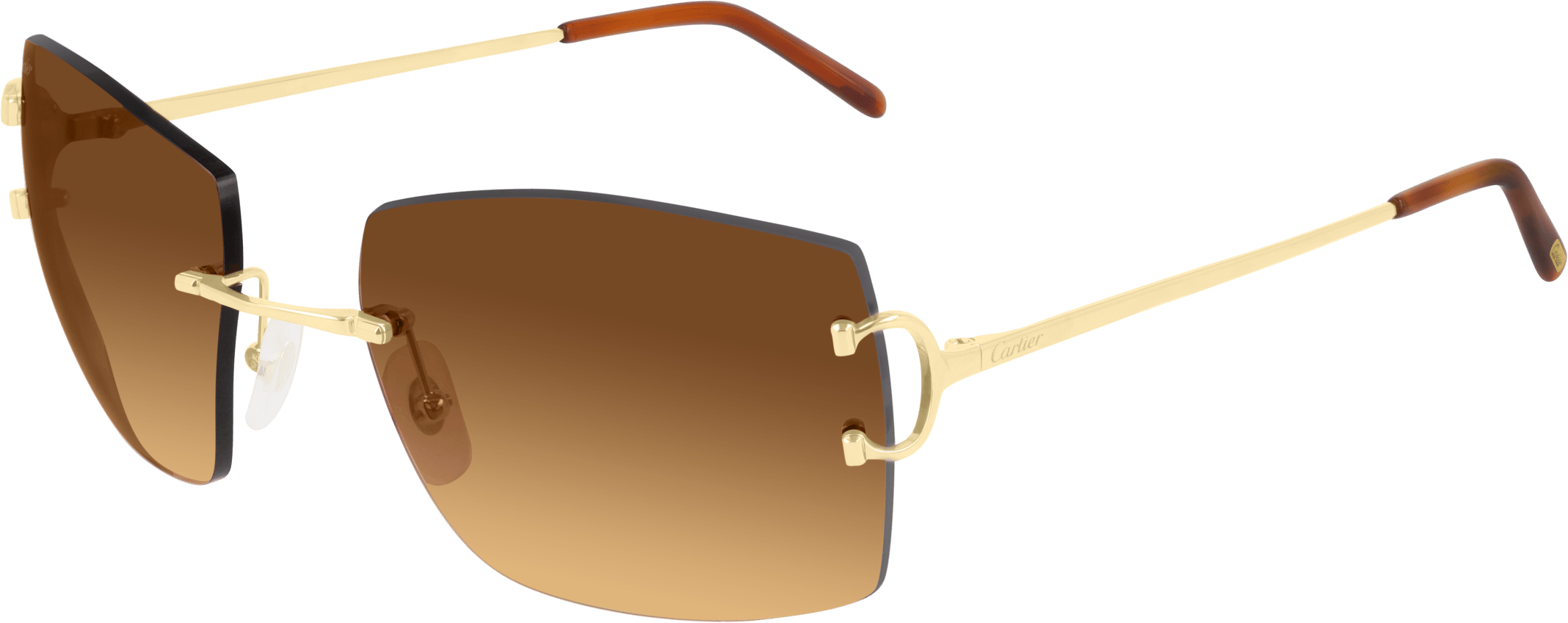 Color_CT0009RS-001 - GOLD - BROWN