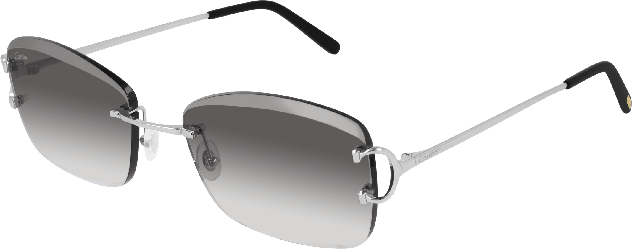 Color_CT0010RS-001 - SILVER - GREY