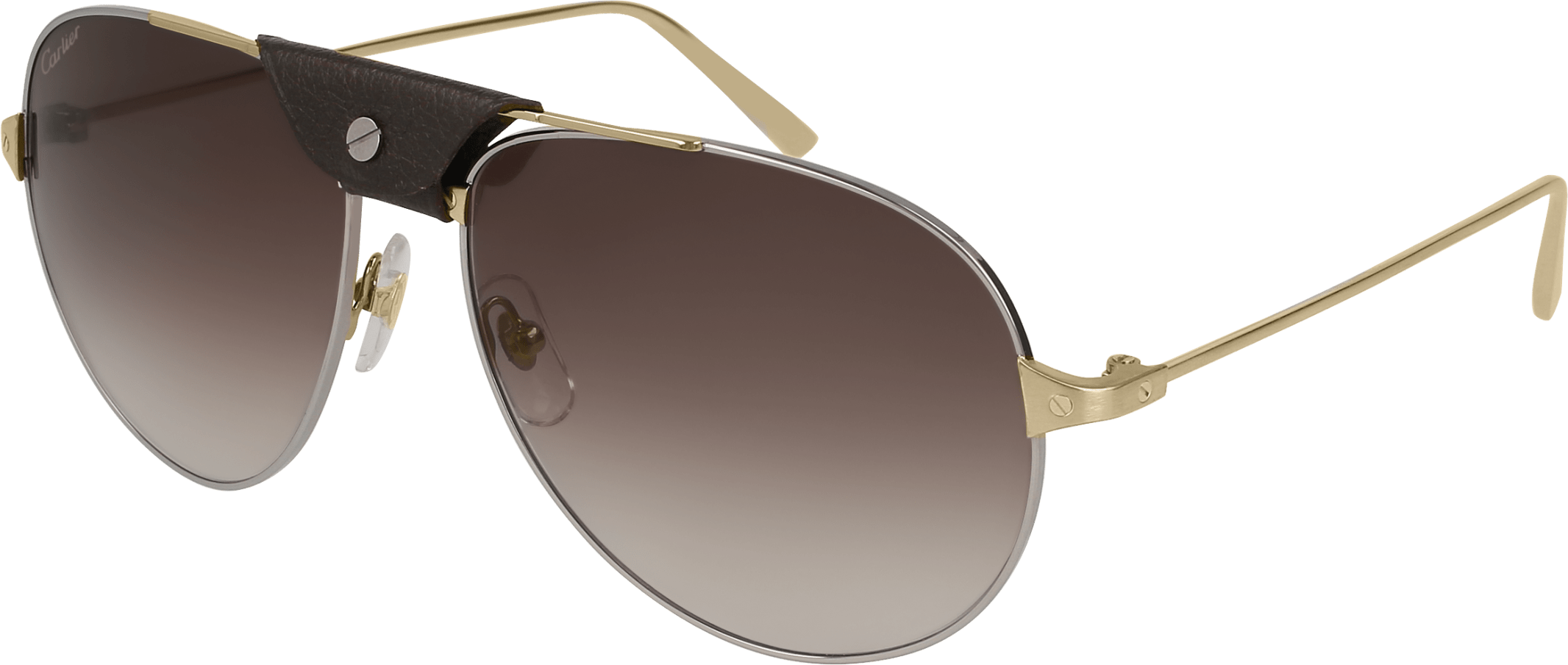 Color_CT0038S-004 - GUNMETAL - BROWN