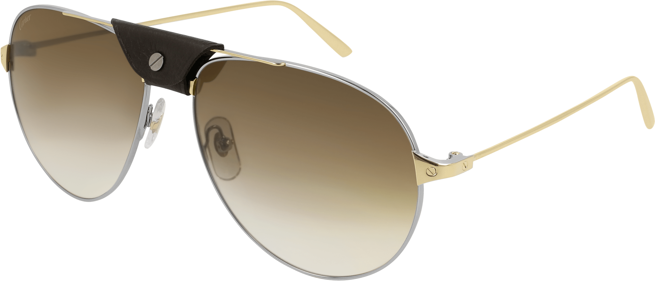 Color_CT0038S-012 - GUNMETAL - BROWN