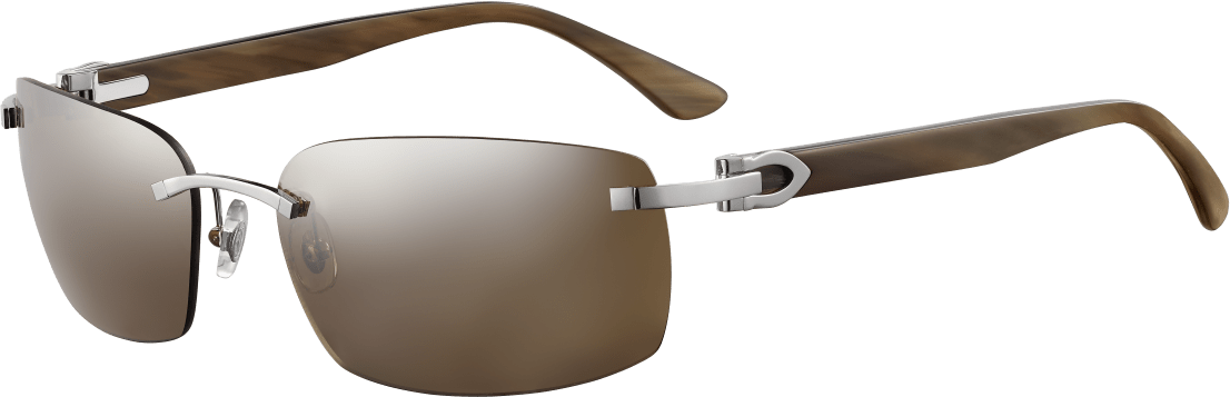 Color_CT0046S-002 - SILVER - BROWN