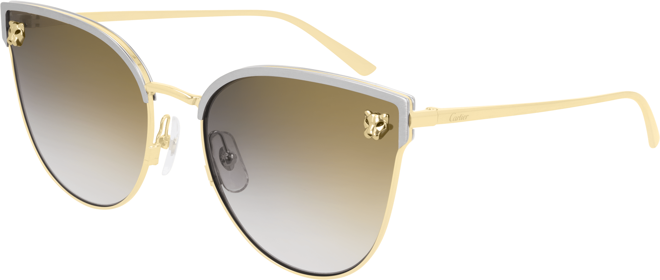 Color_CT0198S-001 - SILVER - GREY