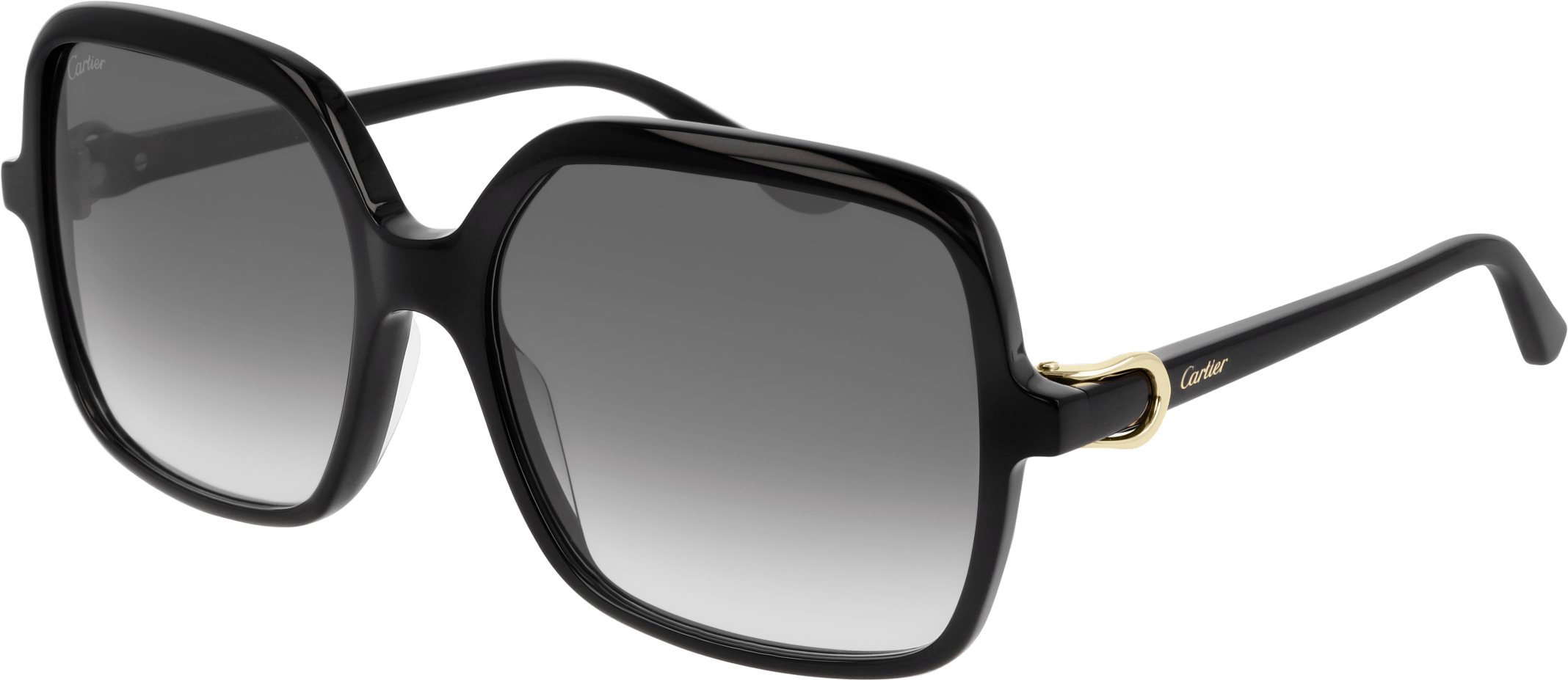 Color_CT0219S-001 - BLACK - GREY