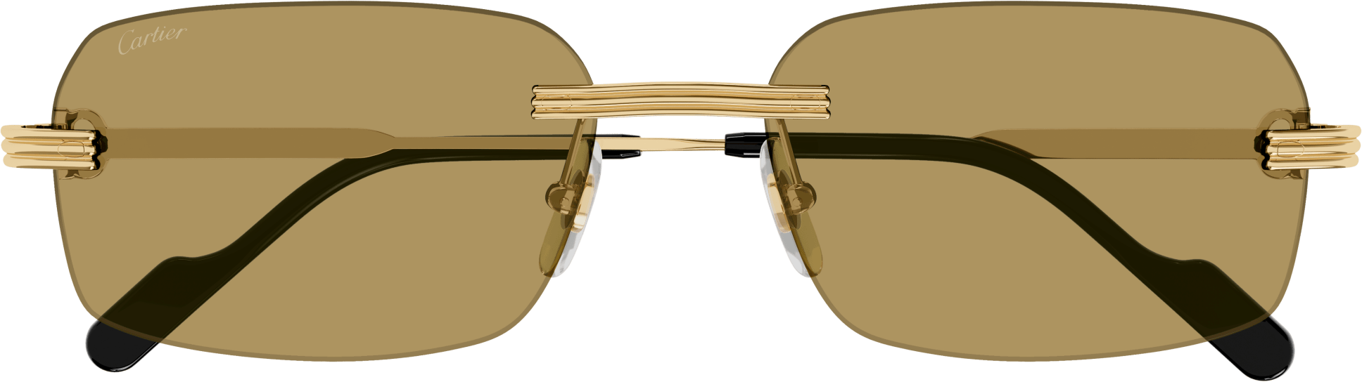 Color_CT0271S-009 - GOLD - BROWN