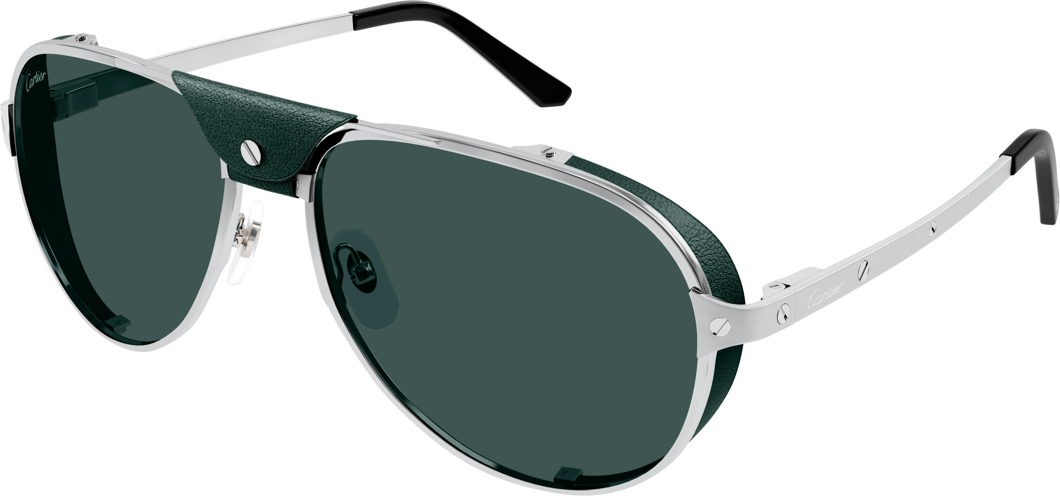 Color_CT0296S-004 - SILVER - GREEN