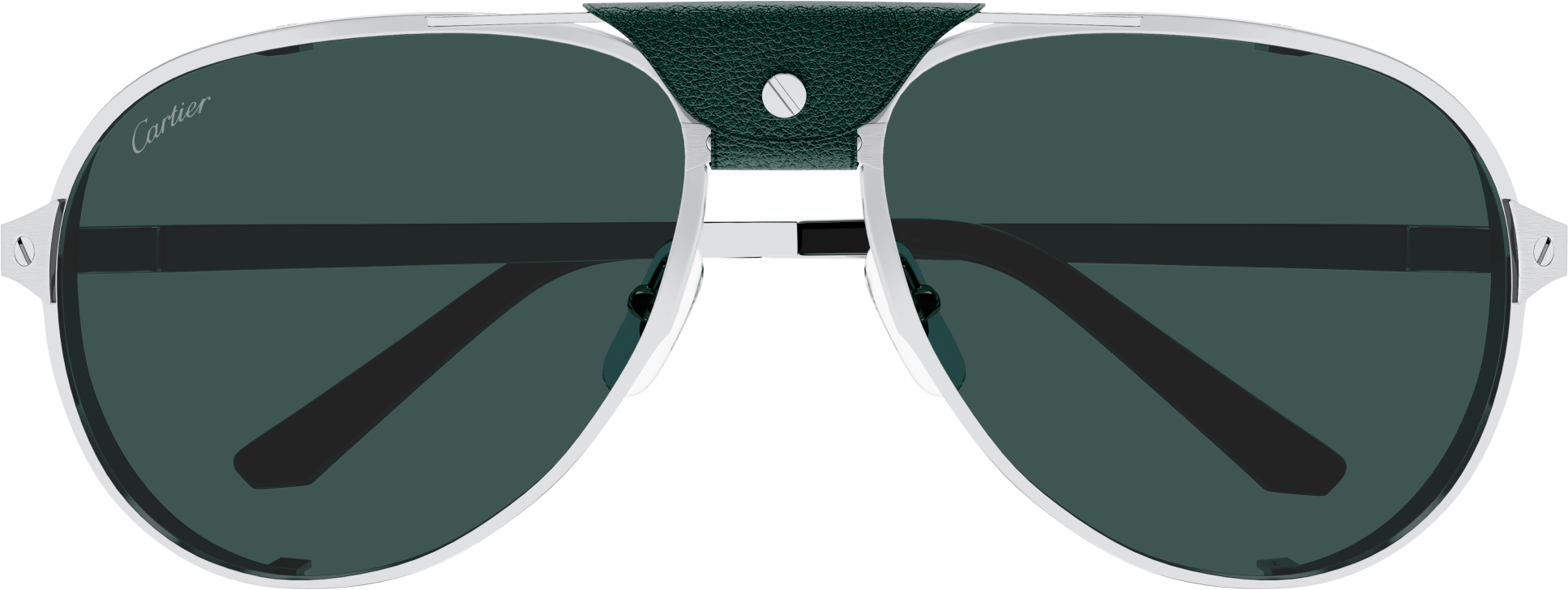 Color_CT0296S-004 - SILVER - GREEN