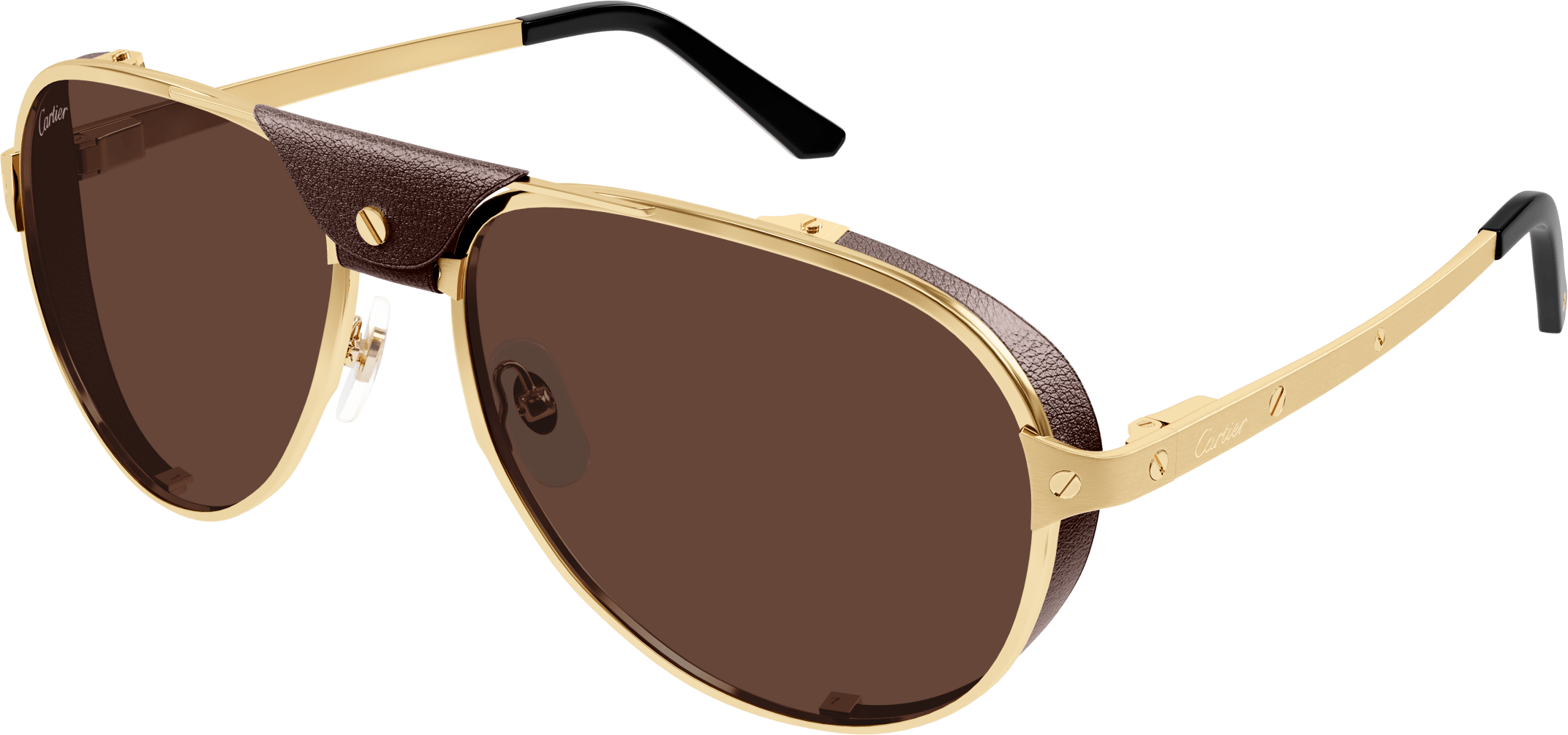 Color_CT0296S-005 - GOLD - BROWN