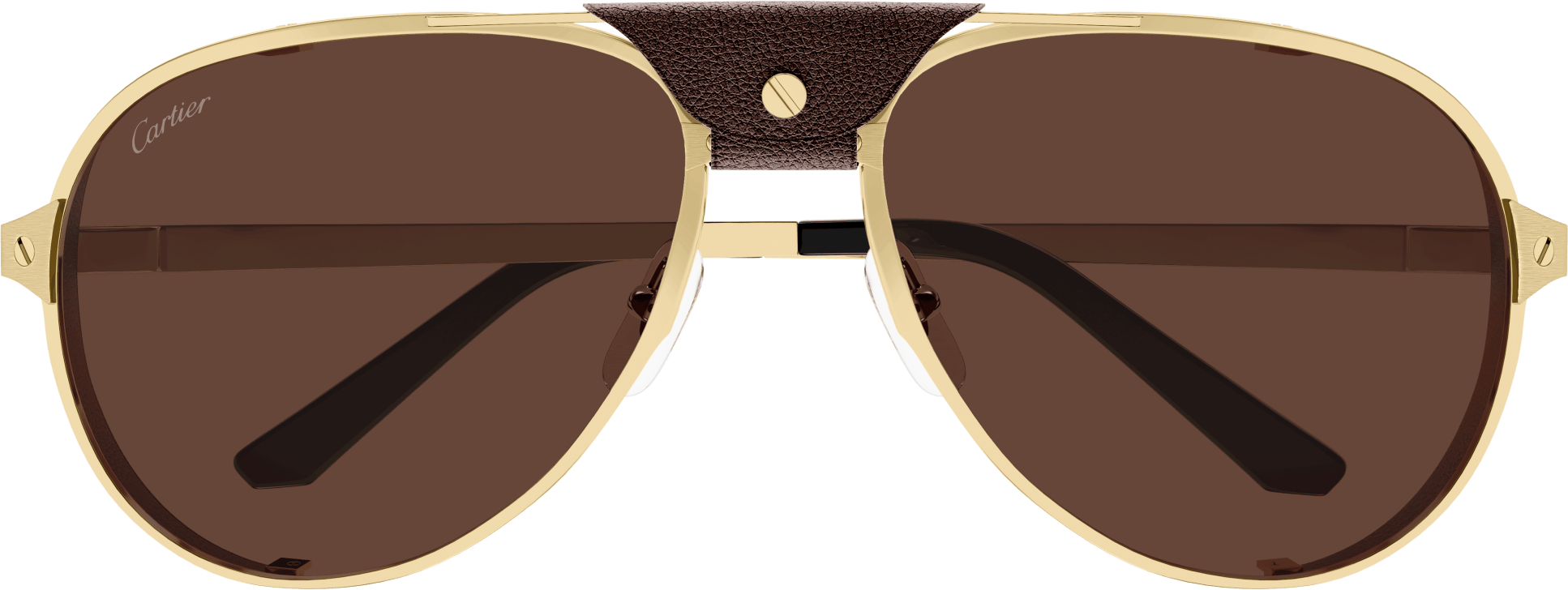 Color_CT0296S-005 - GOLD - BROWN