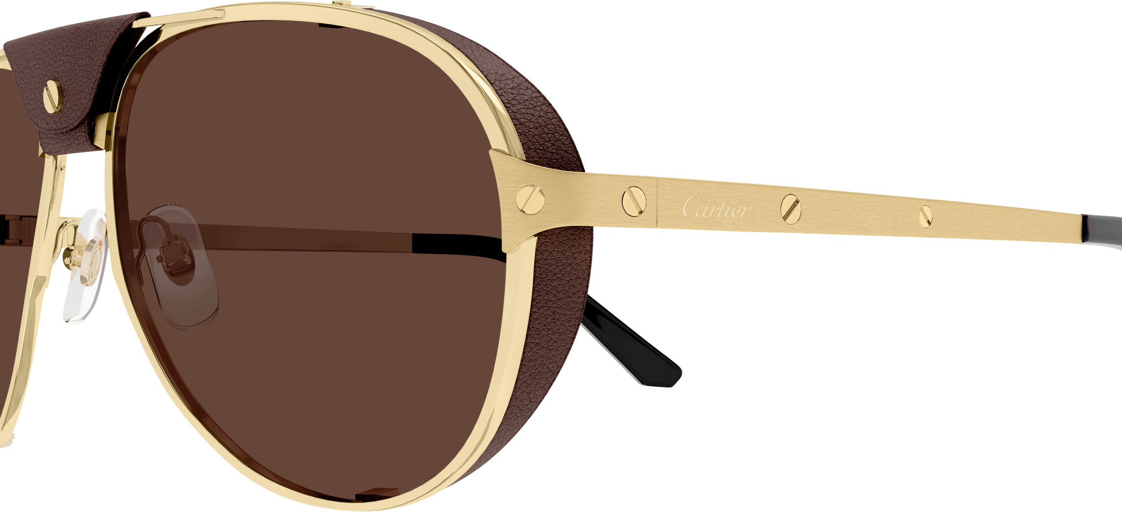 Color_CT0296S-005 - GOLD - BROWN