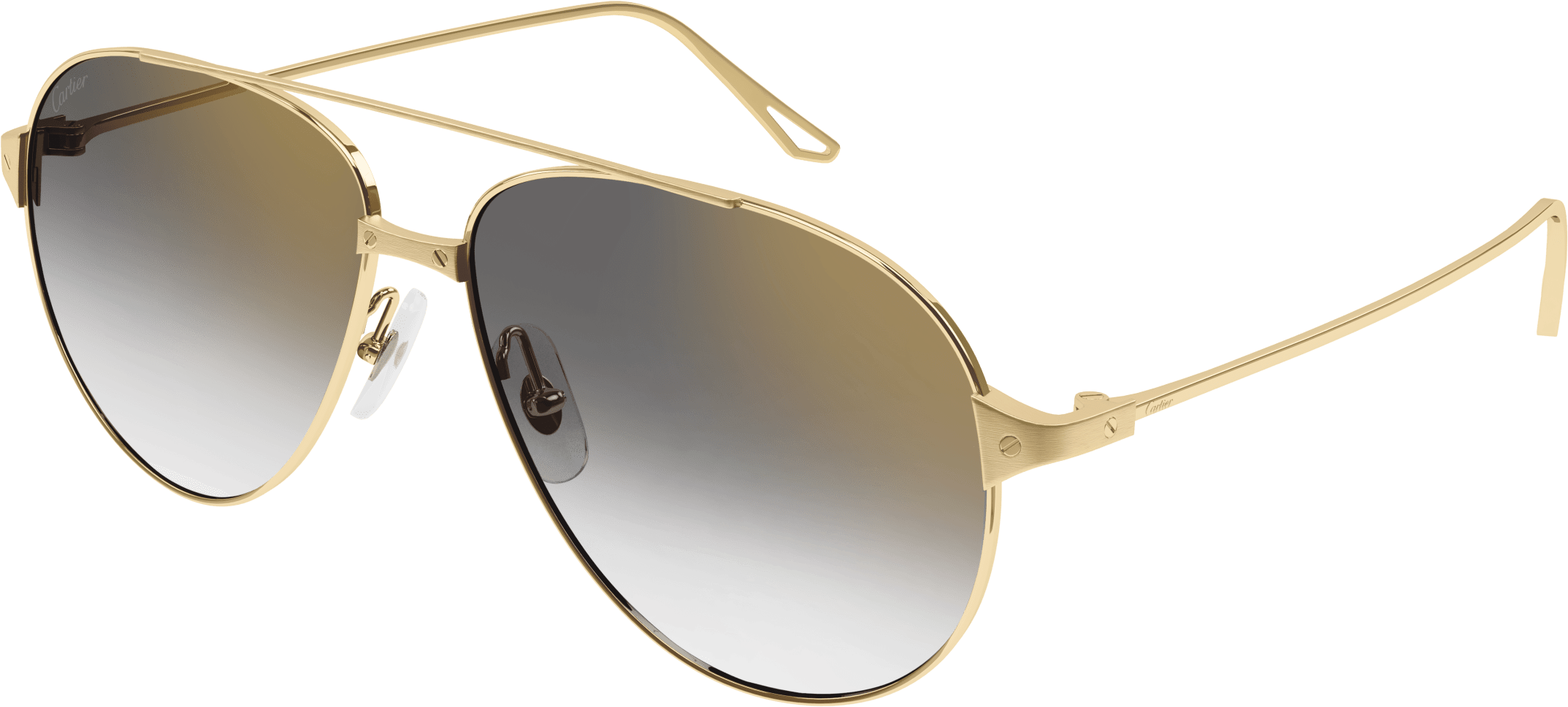 Color_CT0298S-006 - GOLD - GREY