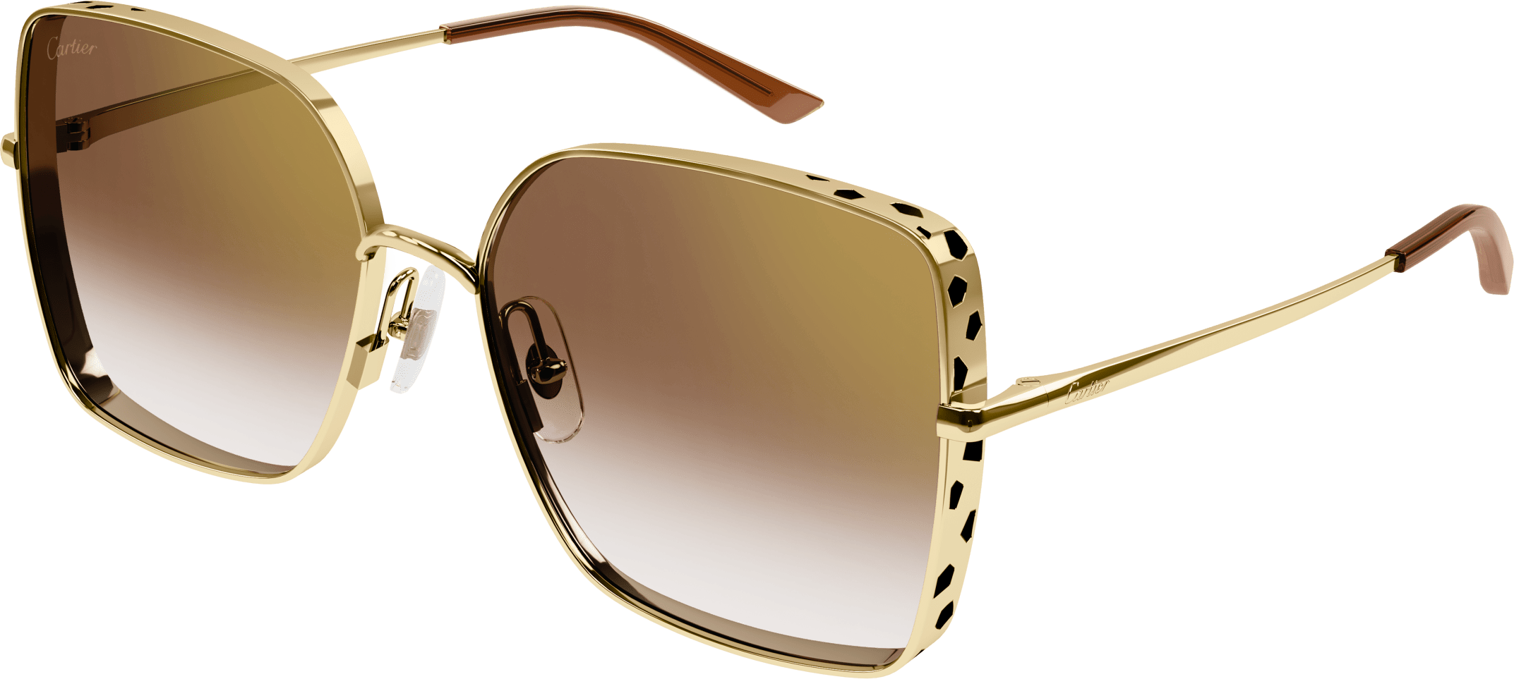 Color_CT0299S-002 - GOLD - BROWN