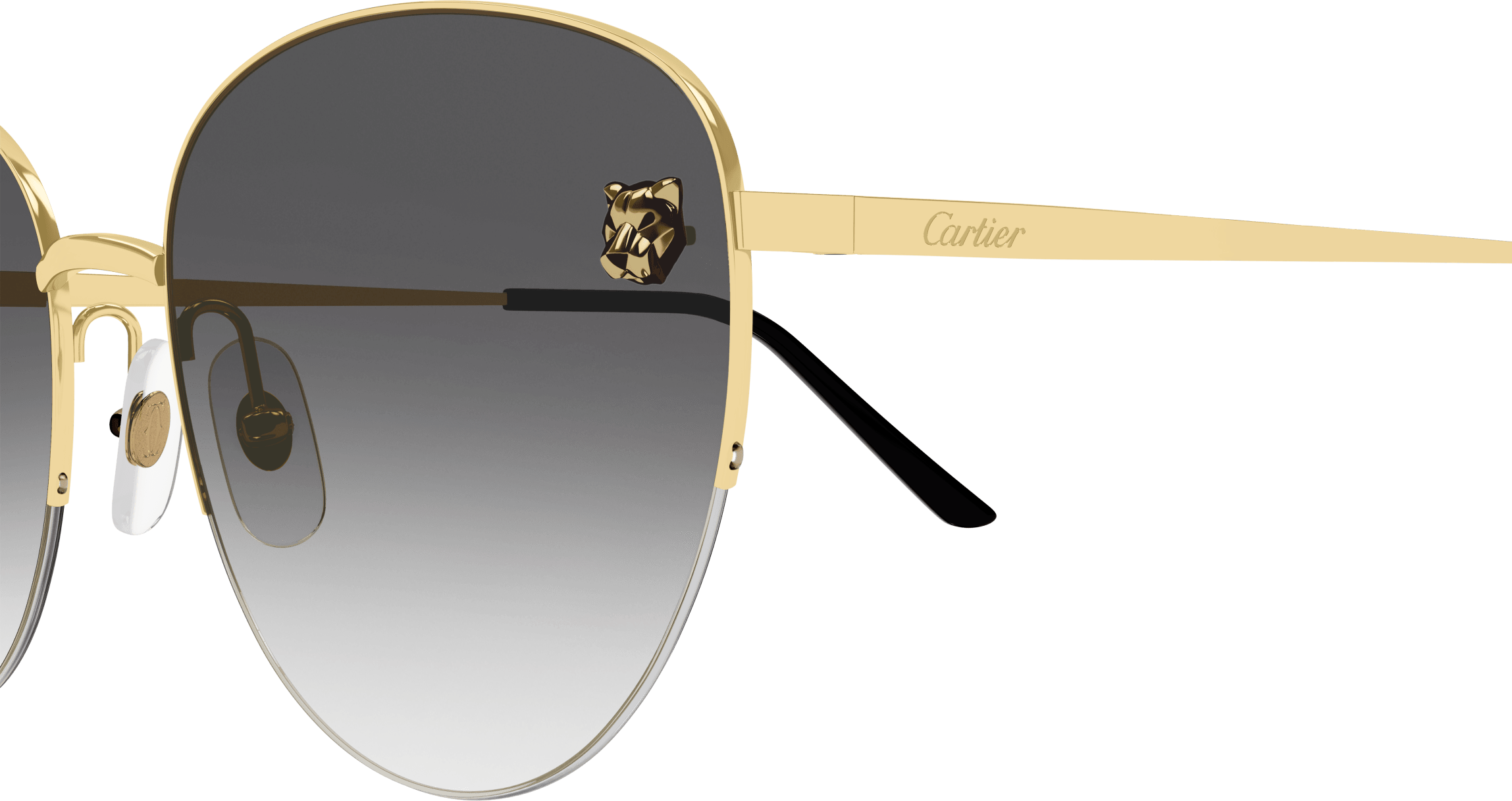 Color_CT0301S-001 - GOLD - GREY