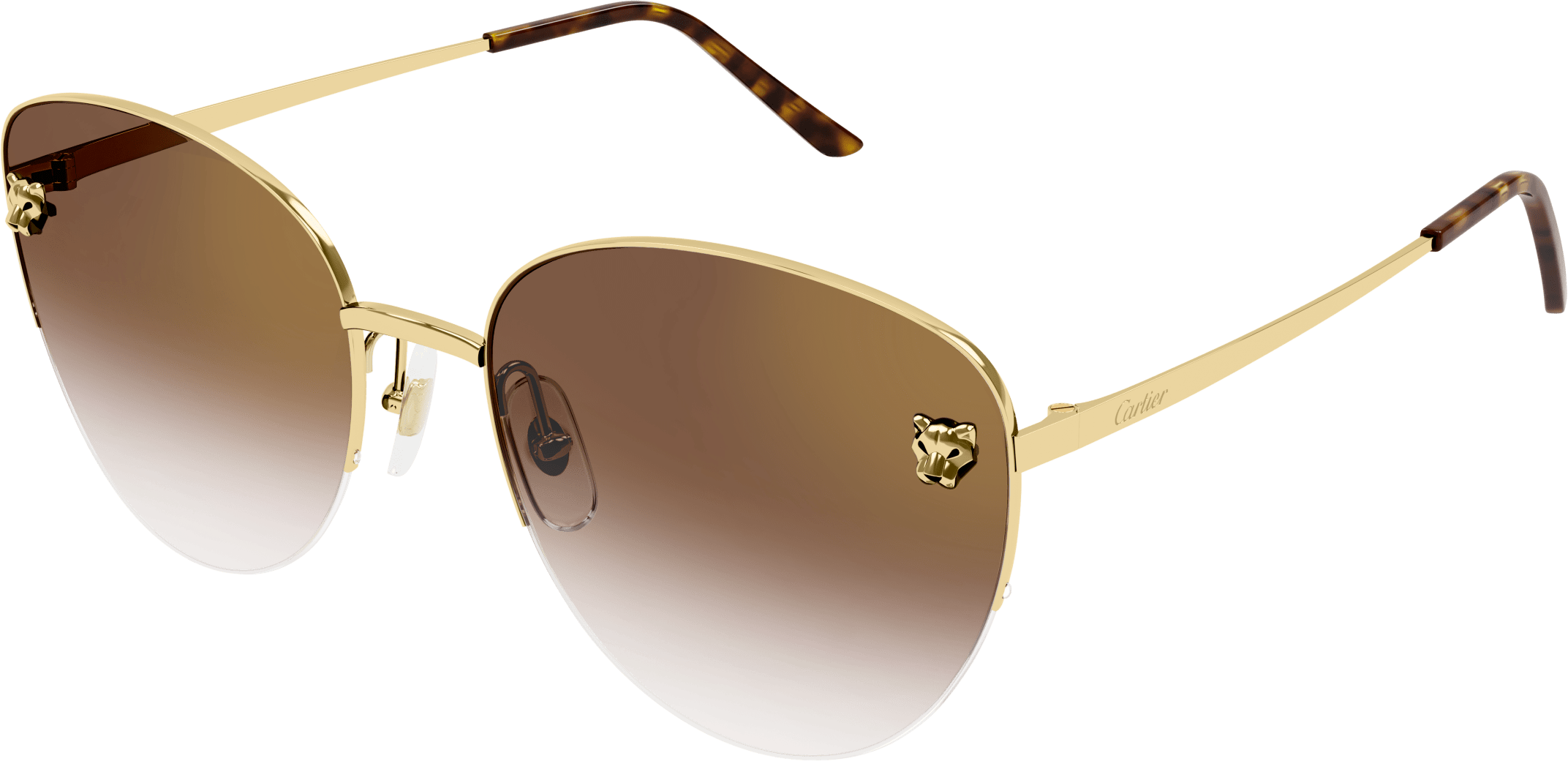 Color_CT0301S-002 - GOLD - BROWN