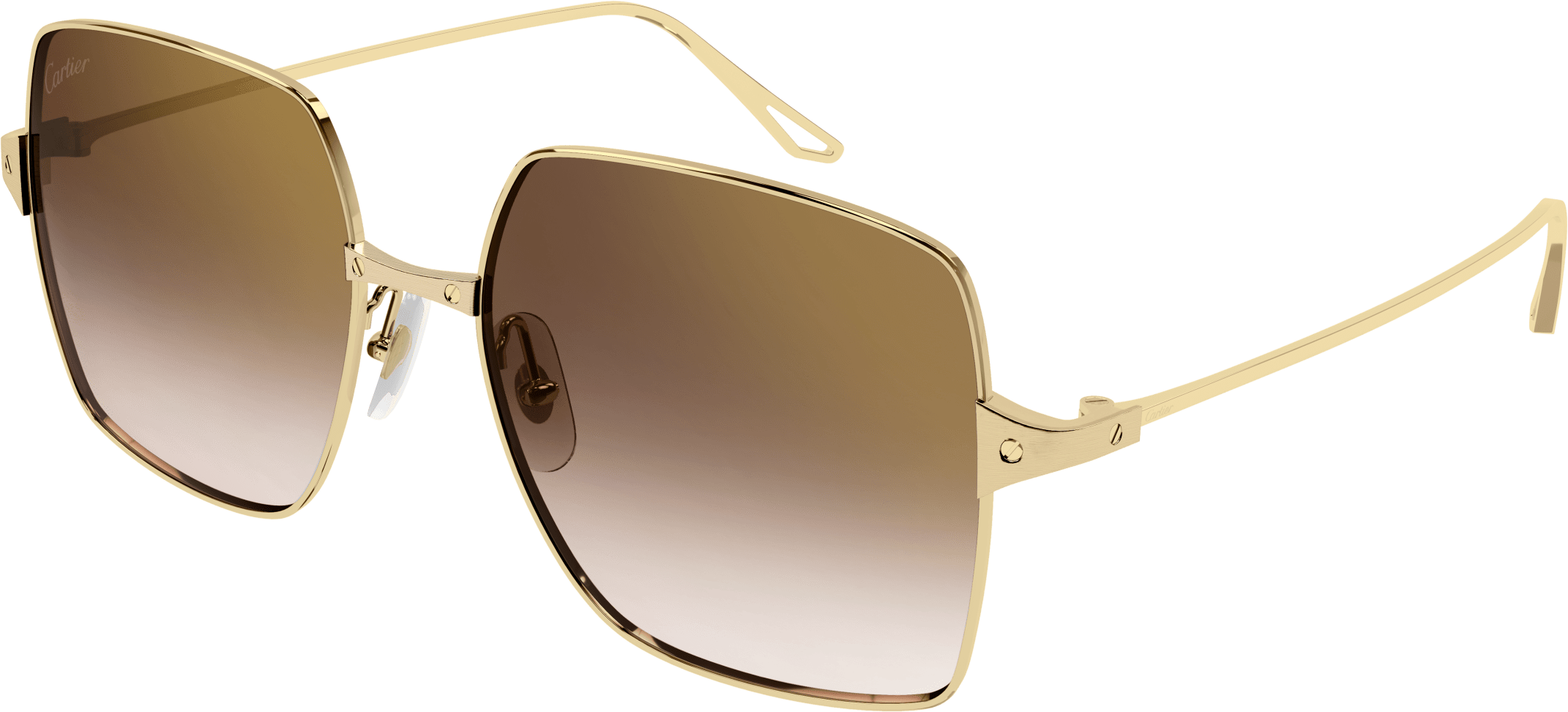 Color_CT0321SA-002 - GOLD - BROWN