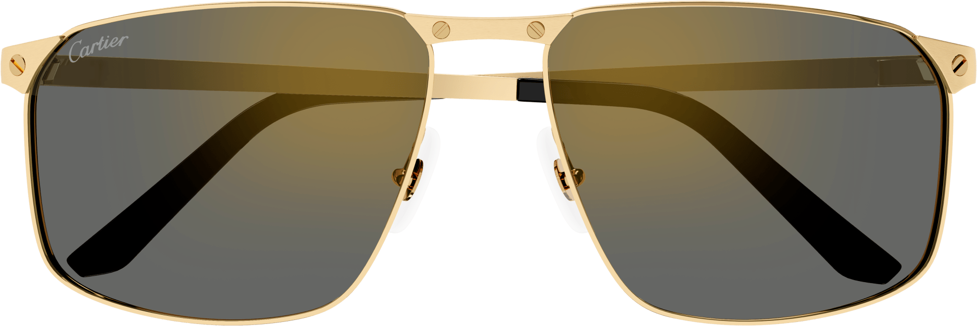 Color_CT0322S-003 - GOLD - GREY (POLARIZED)