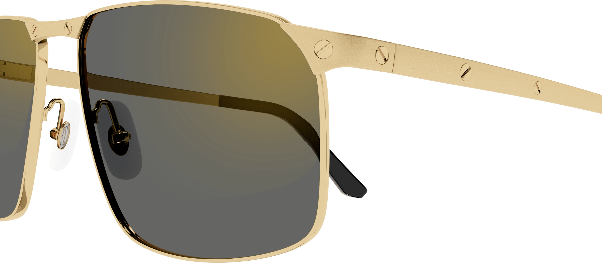 Color_CT0322S-003 - GOLD - GREY (POLARIZED)