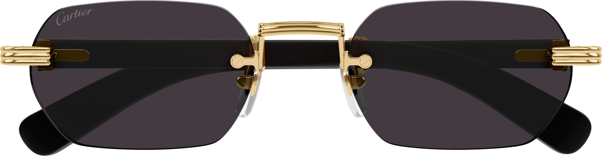 Color_CT0362S-001 - GOLD - BLACK HORN / GREY