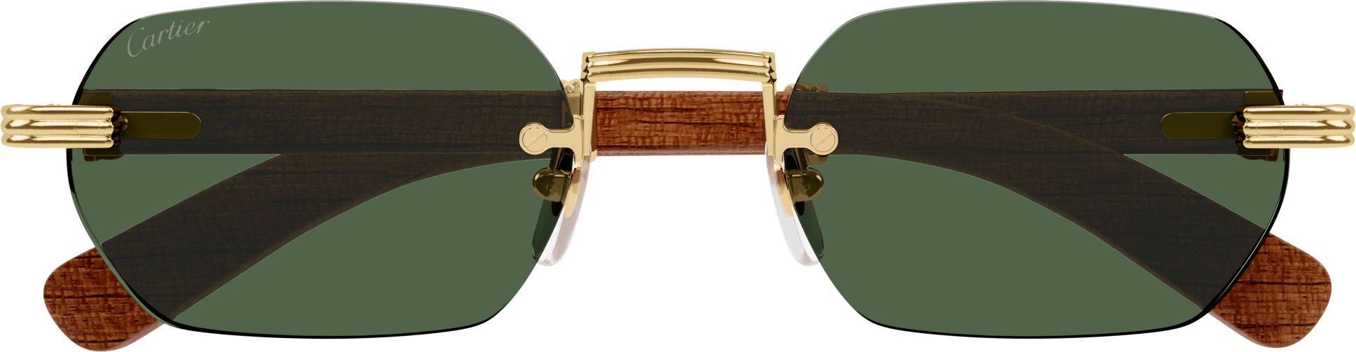 Color_CT0362S-002 - GOLD - BROWN HORN / GREEN