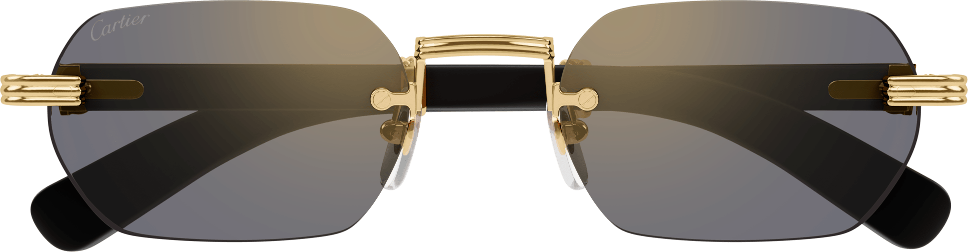 Color_CT0362S-003 - GOLD - WHITE HORN / BRONZE