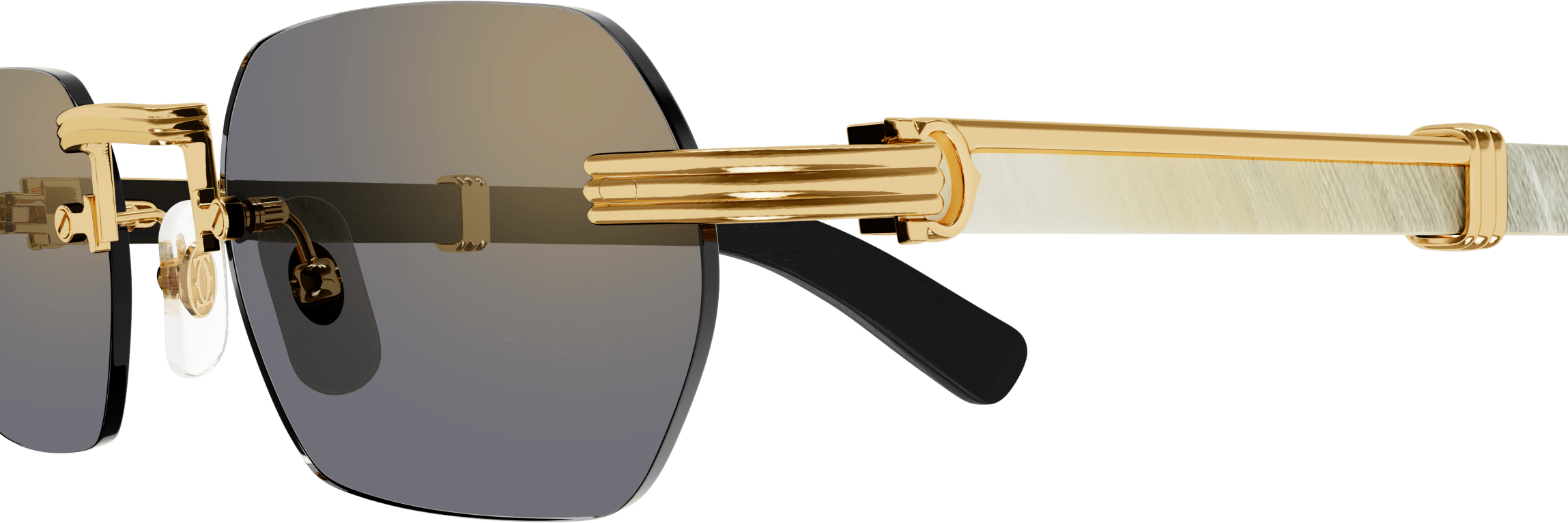 Color_CT0362S-003 - GOLD - WHITE HORN / BRONZE
