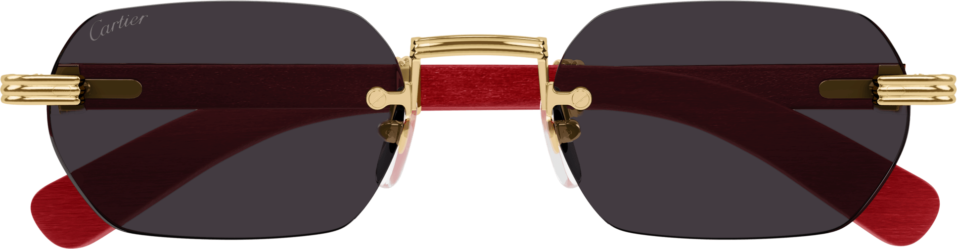 Color_CT0362S-004 - GOLD - RED HORN / GREY