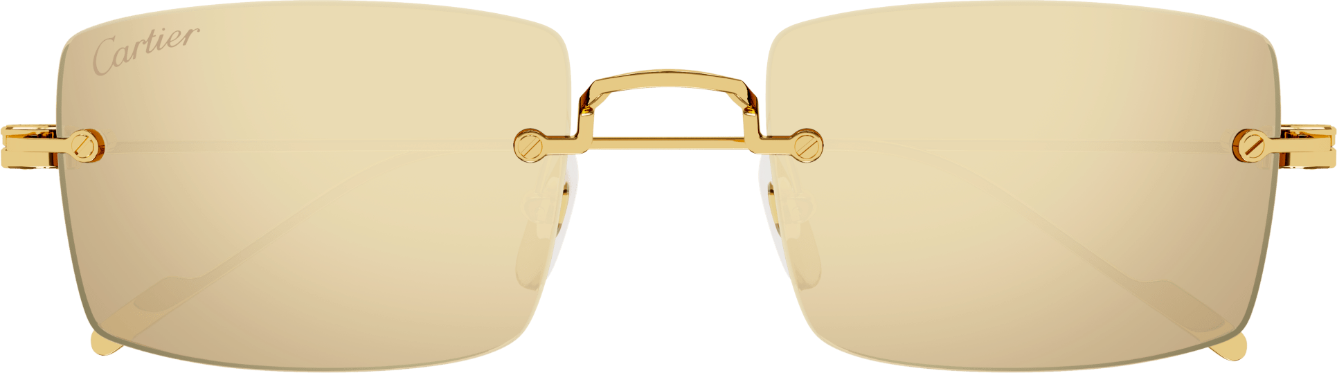 Color_CT0367S-002 - GOLD - GOLD (AR)