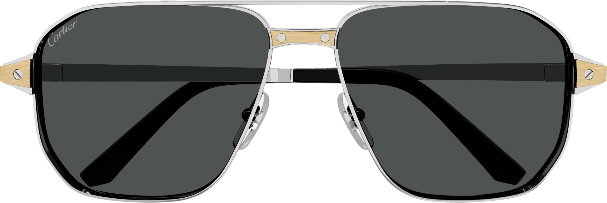 Color_CT0424S-001 - SILVER - SMOKE POLARIZED