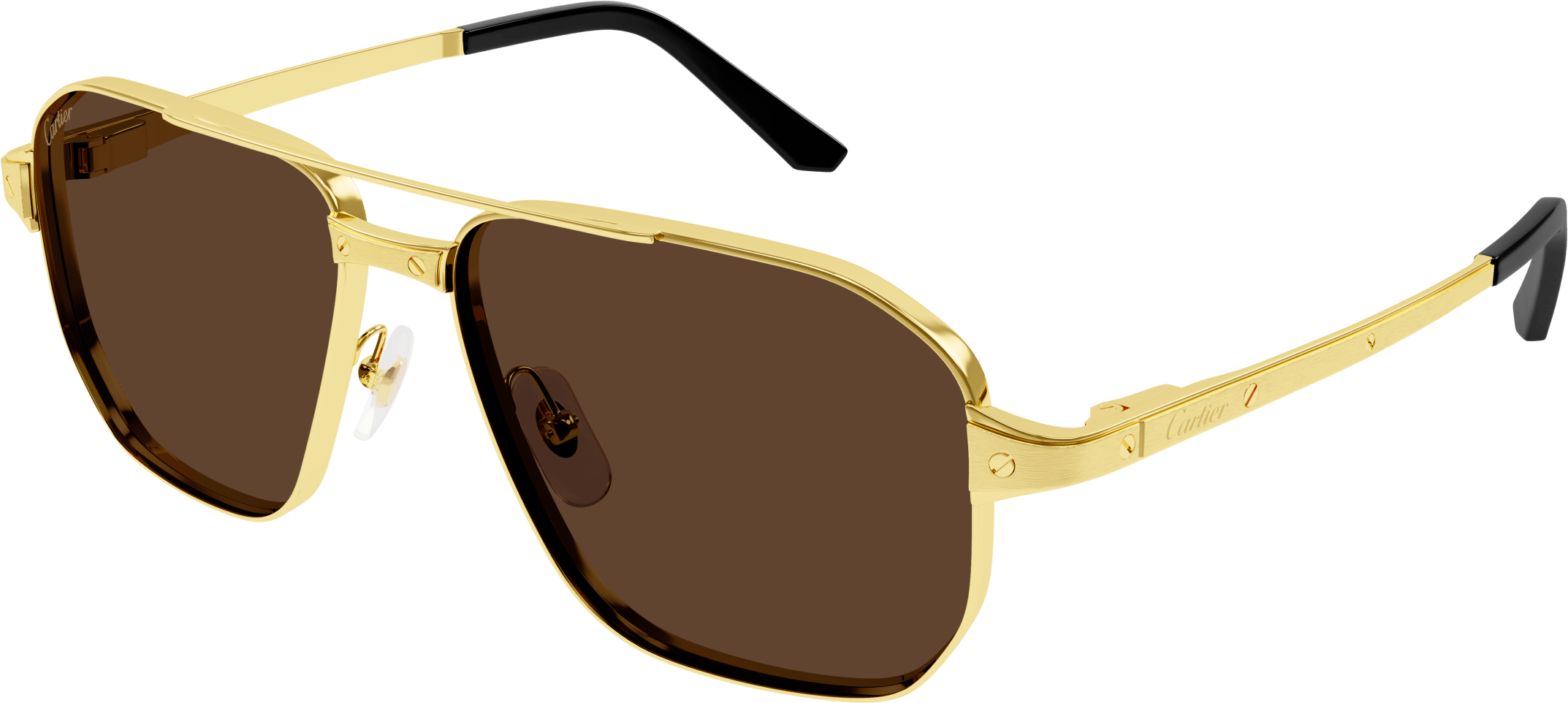 Color_CT0424S-003 - GOLD - BROWN POLARIZED