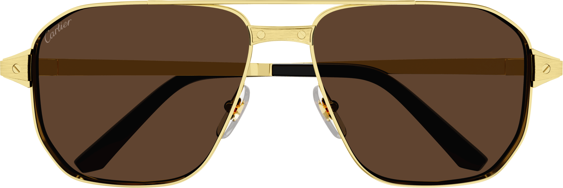 Color_CT0424S-003 - GOLD - BROWN POLARIZED