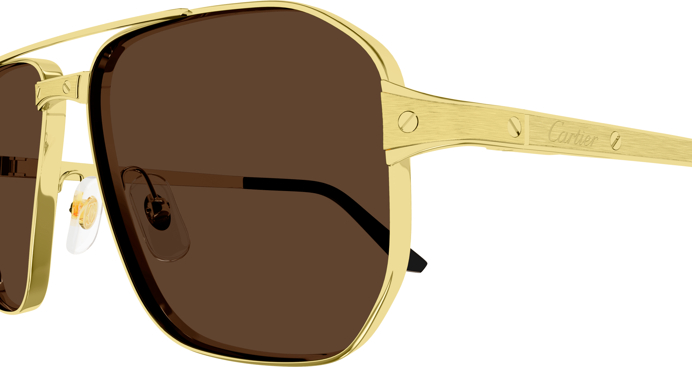 Color_CT0424S-003 - GOLD - BROWN POLARIZED