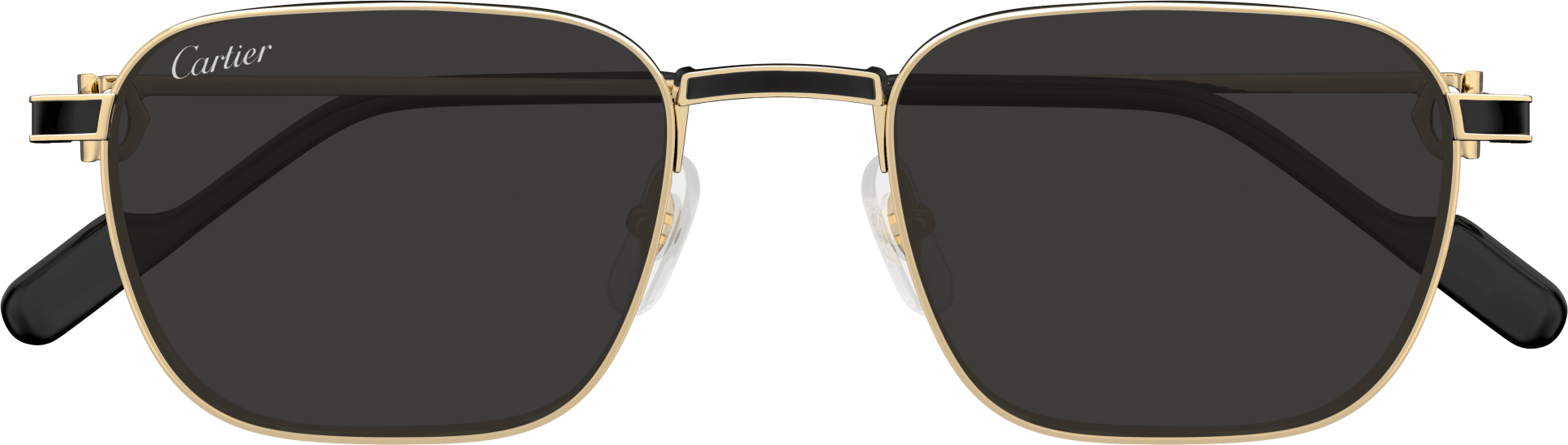 Color_CT0497S-006 - GOLD - GREY