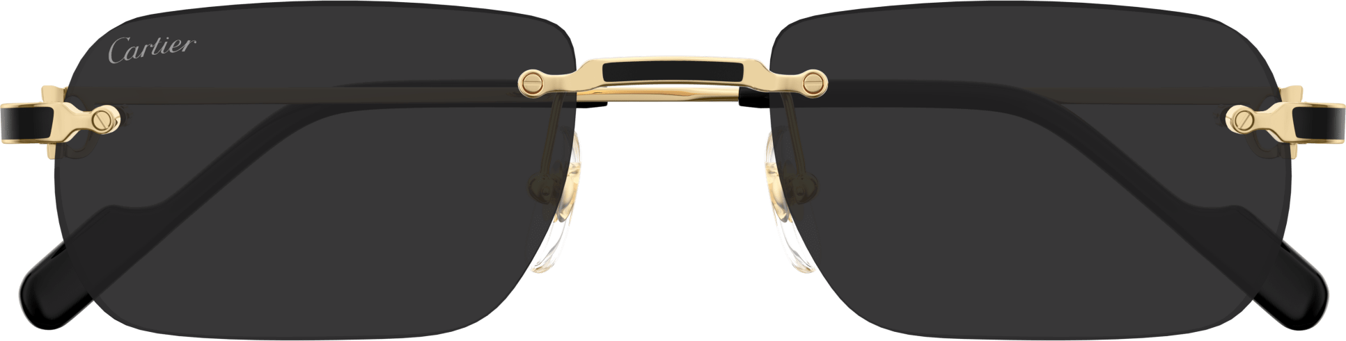 Color_CT0498S-001 - GOLD - GREY