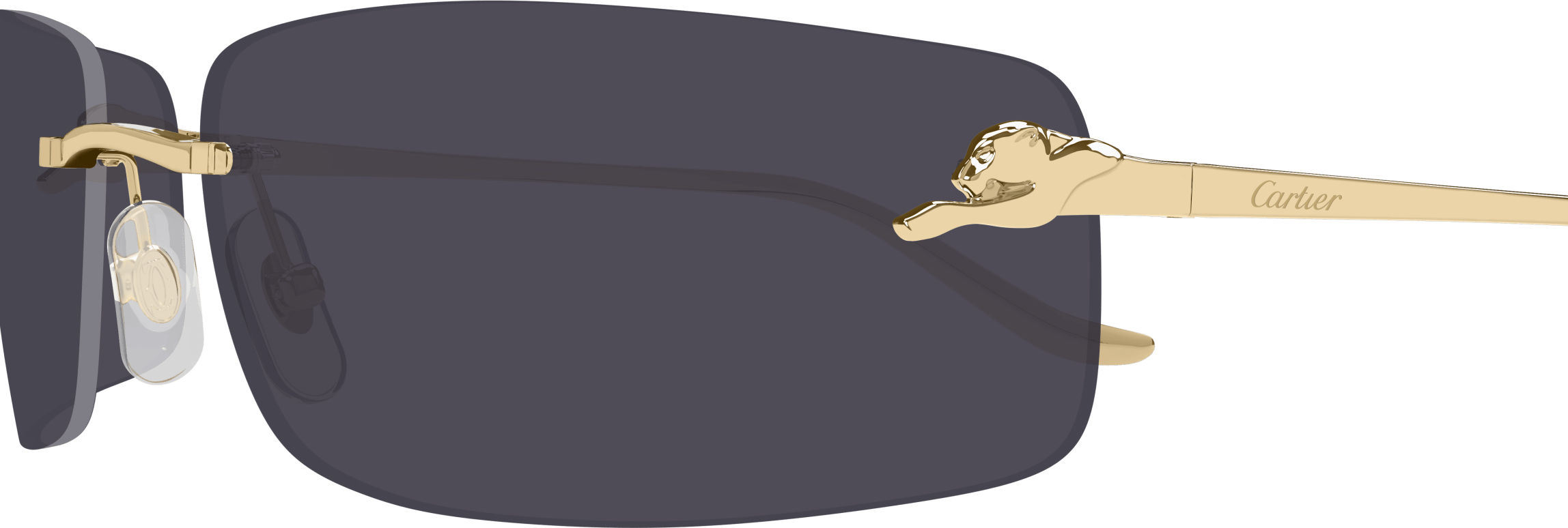 Color_CT0503S-001 - GOLD - GREY