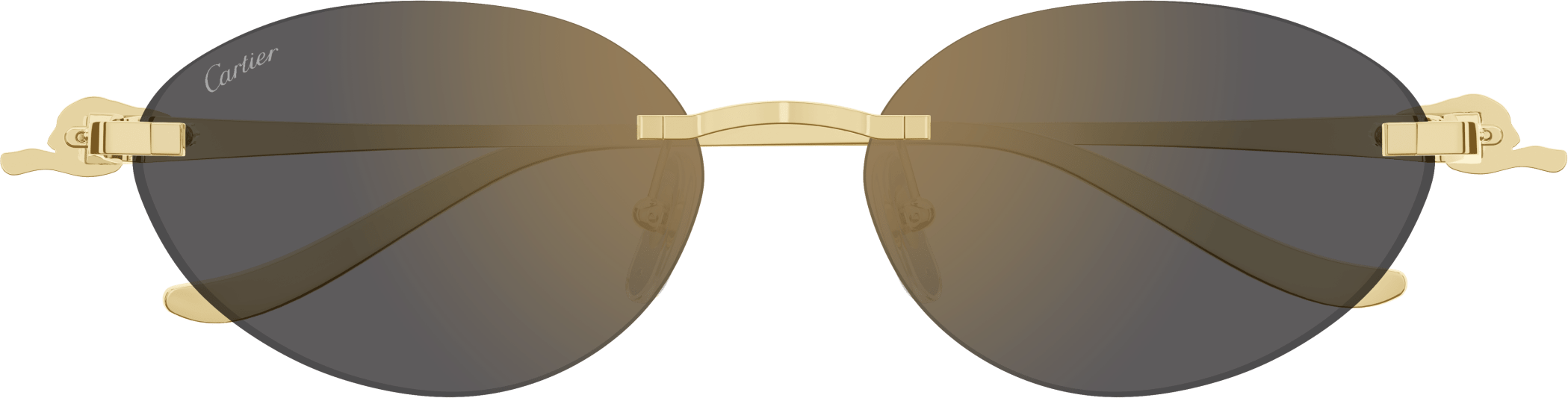 Color_CT0504S-001 - GOLD - GREY