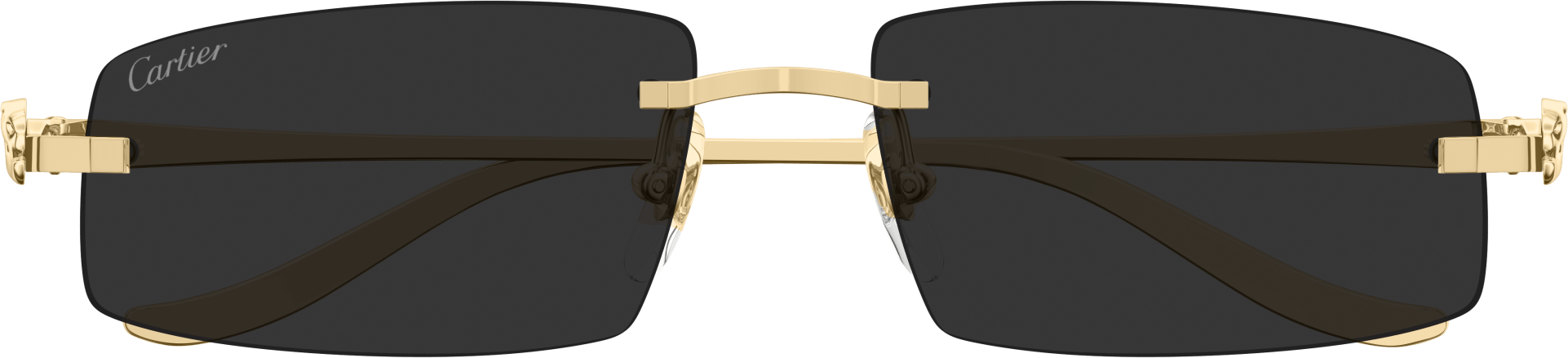 Color_CT0505S-001 - GOLD - GREY