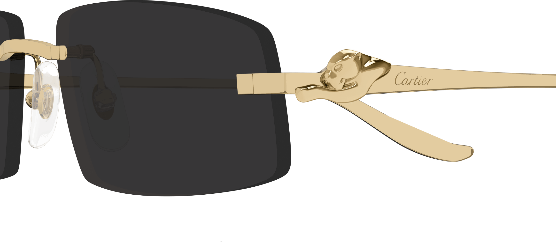 Color_CT0505S-001 - GOLD - GREY