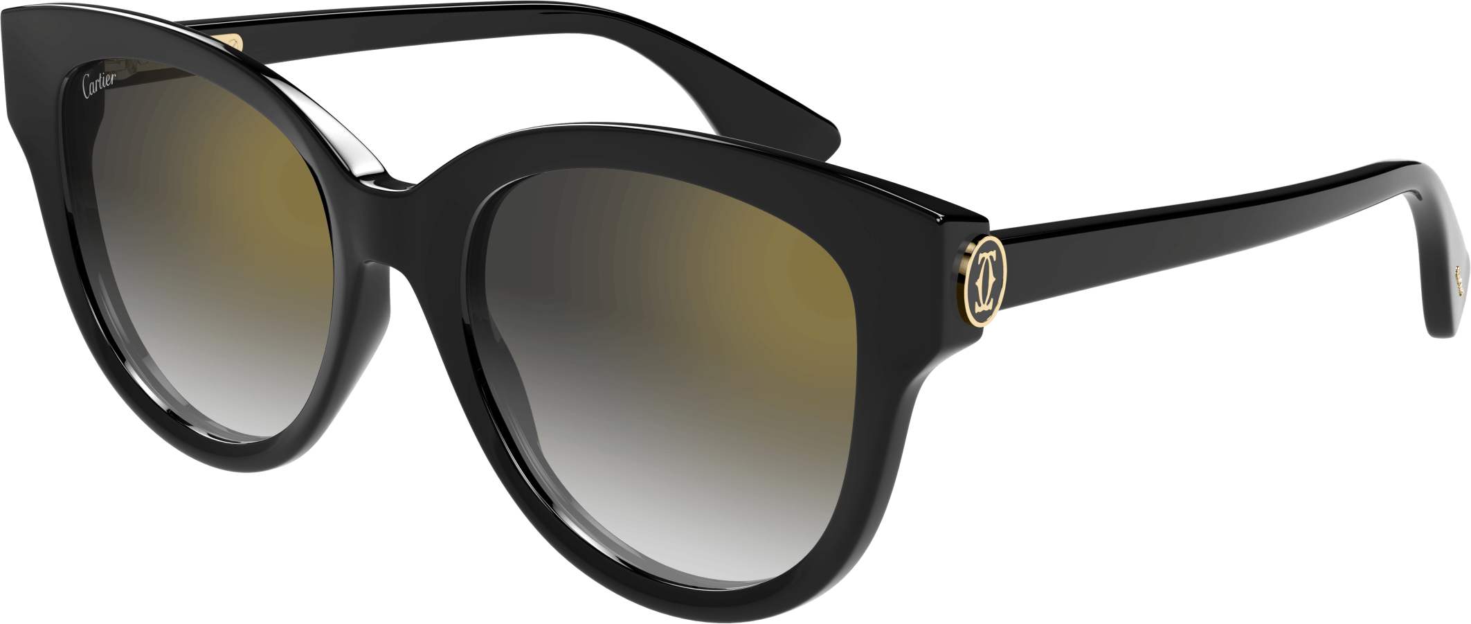 Color_CT0506S-001 - BLACK - GREY